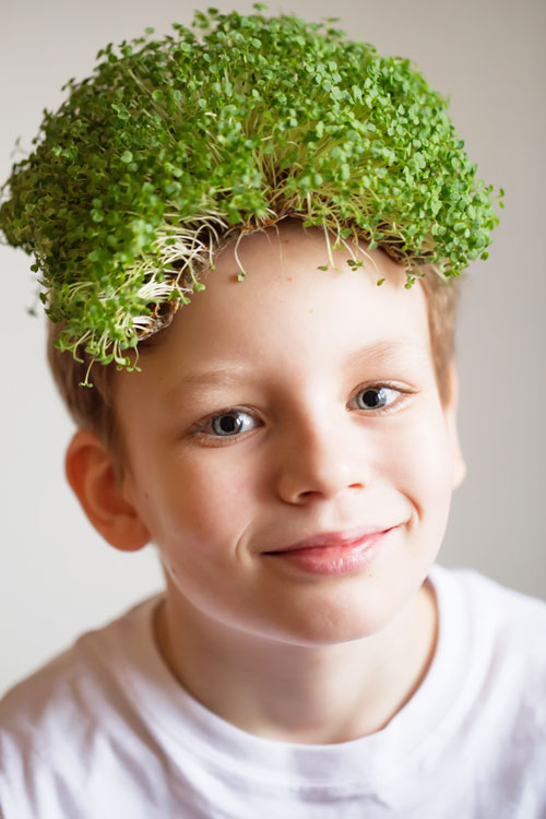 Testimonial for Boost Microgreens